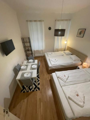 Cozy 5-Person apartment in Vienna 2